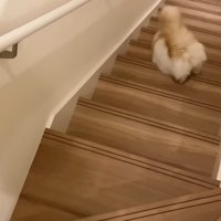 斜めに下りて行く後ろ姿