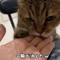 テロップ「一瞬で消えた」