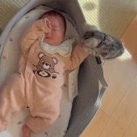 ベビーベッドで寝ている赤ちゃんを見ている子猫