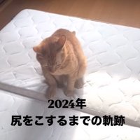 お尻を擦り付ける猫