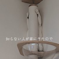 ポールの裏に立って両前足を上げている猫