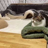 寝ているマサくんの様子