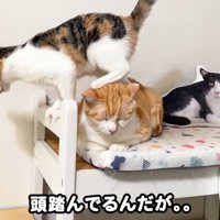 テロップ「頭踏んでるんだが..」