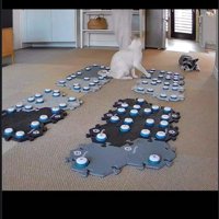 猫のもとへ戻った飼い主