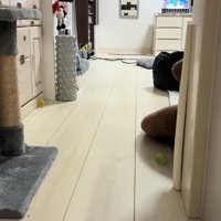 誰もいないリビング