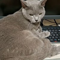 少しうつむいた姿