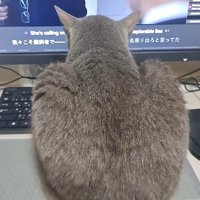 後ろ姿のアップ