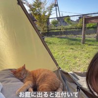 庭でくつろぐ猫と女の子