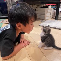 子猫に話しかける