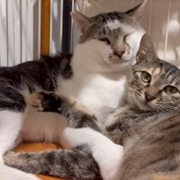 抱きしめ合う子たち