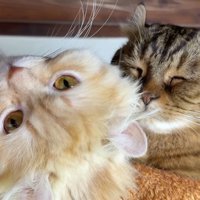 二人の紹介写真