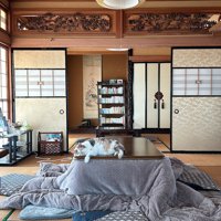 部屋のこたつの上に寝そべる猫