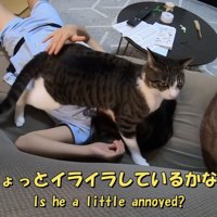 「ちょっとイライラ...」のテロップ写真
