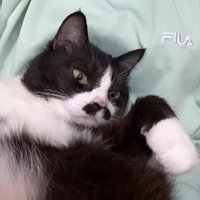 脱力した姿
