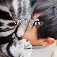 お兄ちゃんの顔を舐める子猫