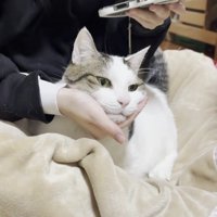 顎に手を置かれる豆大福さん