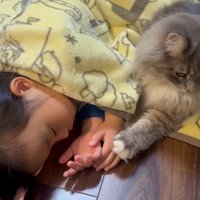 寝ている子どもと猫