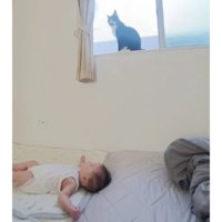 赤ちゃんと猫