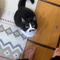 座って見上げる姿
