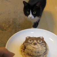 猫用ケーキと猫