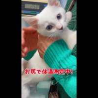 体温測定中