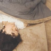 布団で寝る飼い主