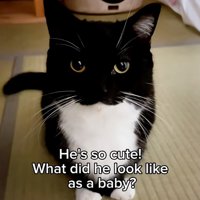 成長したうにちゃん