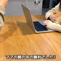 ママの腕の中の勝利