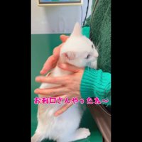 お利口さんやったね〜