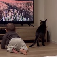 ふたりの後ろ姿