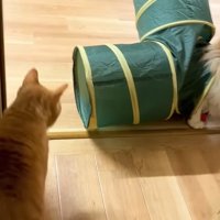 部屋の入り口で