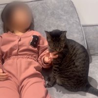 女の子と一緒に座っている猫