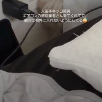 カーテンの裏に