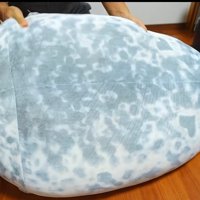 キレイになったぬいぐるみ