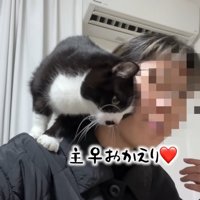 テロップ「主♀おかえり」