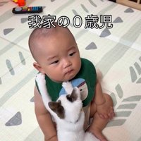 赤ちゃんの胸元に前足を伸ばすつなちゃん
