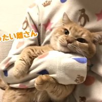 ぜったい離さん