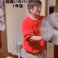 猫を抱き上げて回る