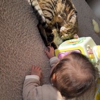 床に寝ている猫と赤ちゃん