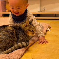 猫をなでる赤ちゃん