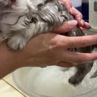 2匹目、キャッチ