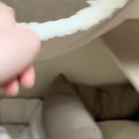 ハンモックを指差す