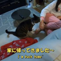 家に帰ってきました