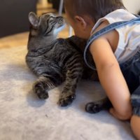 顔をくっつけて