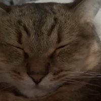 正面からドアップ