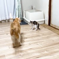 向き合うふたり