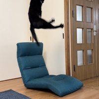 空中で前足をクロスさせる黒猫