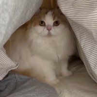 布団の中