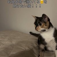 「お風呂で溺れてる…」と書かれた写真1