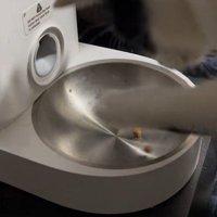 給餌器の穴から出てきた2粒のフード